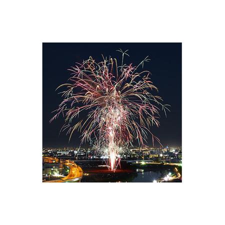 ふるさと納税 No.309 第75回猪名川花火大会観覧チケット（100席限定） 兵庫県川西市 