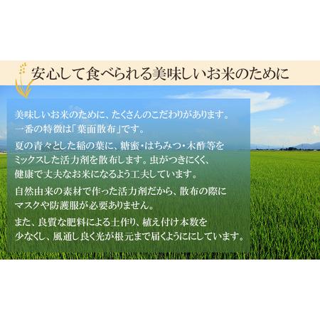 ふるさと納税 【令和5年産】 井上農場の特別栽培米つや姫【玄米】12kg