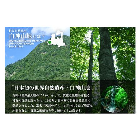 ふるさと納税 36か月連続お届け！！ 白神山地の水 500ml×24本 定期便 ナチュラルウォーター 飲料水 軟水 超軟水 非加熱 弱酸性 湧水 湧き.. 青森県鰺ヶ沢町の画像