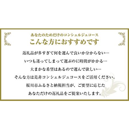 ふるさと納税 【 茨城県桜川市 コンシェルジュ】 返礼品おまかせ！寄附額 200万円  [BR017sa] 茨城県桜川市の画像