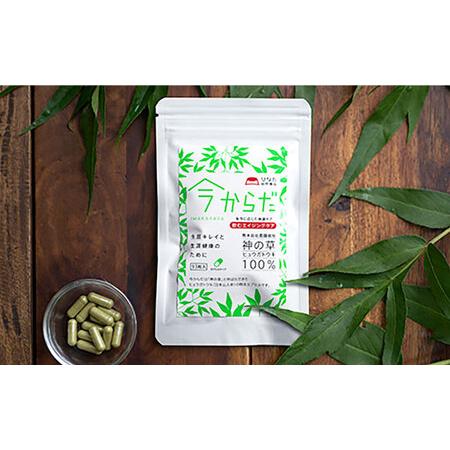 ふるさと納税 今からだ 93粒入 サプリ サプリメント カプセル