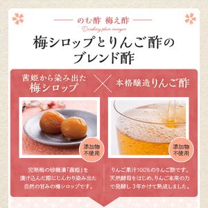 ふるさと納税 のむ酢梅え酢720ml x 2本 果実酢 お酢 ビネガー 有限会社壽屋提供 山形県 東根市 hi004-hi036-021r 梅 梅酢 純りんご酢 ビネガ.. 山形県東根市の画像