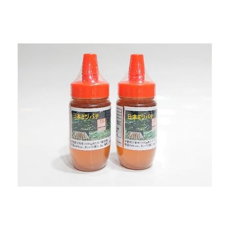 ふるさと納税 【数量限定】日本ミツバチの百花蜜2本セット（300g×2