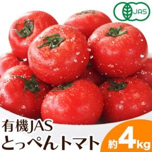 ふるさと納税 有機JASとっぺんトマト 約4kg 旬 お取り寄せ 詰め合わせ 贈答 ギフト お中元 お歳暮 熊本 阿蘇 産山村 送料無料 トマト 無農薬 有.. 熊本県産山村