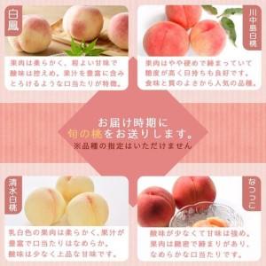 ふるさと納税 和歌山県産 桃 秀品 6〜9玉 約2kg［NY7w］ 和歌山県和歌山市の画像