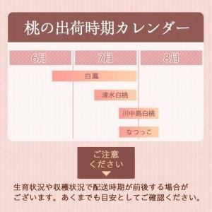 ふるさと納税 和歌山県産 桃 秀品 6〜9玉 約2kg［NY7w］ 和歌山県和歌山市の画像