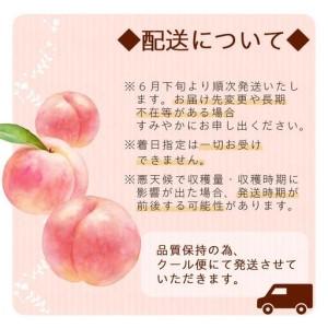 ふるさと納税 和歌山県産 桃 秀品 6〜9玉 約2kg［NY7w］ 和歌山県和歌山市の画像