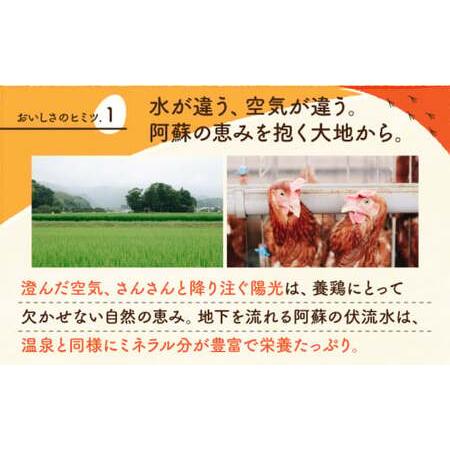 ふるさと納税 赤たまご M玉 90個（85個＋5個割れ保証）【農事組合法人 鹿本養鶏組合】タマゴ 玉子 熊本県たまご 卵 国産たまご 新鮮たまご あか.. 熊本県山鹿市｜furunavi｜03