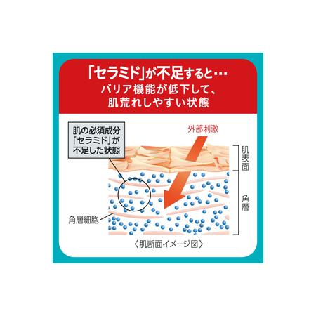 ふるさと納税 定期便9ヶ月 花王 キュレル 湿潤保湿 化粧水III とてもしっとり【 化粧品 コスメ 敏感肌 乾燥 紫外線 セラミドケア 神奈川県 .. 神奈川県小田原市｜furunavi｜04