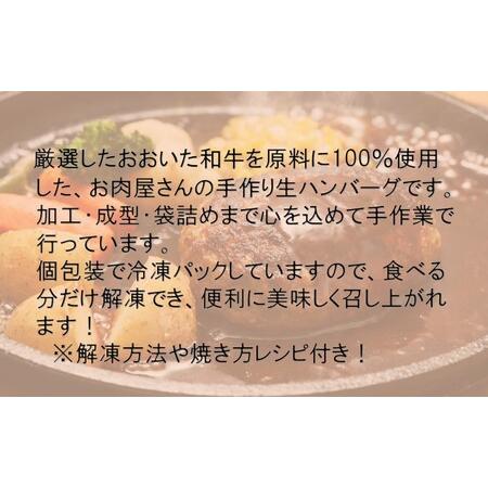 ふるさと納税 2227R_お肉屋さんの「おおいた和牛 生ハンバーグ」たっぷり1.6kg！（160g×10個） 大分県国東市 : ふるなび ...