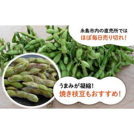 ふるさと納税 【期間限定！】黒大豆枝豆【幸】1.2kg (400g×3袋) 糸島市 / 染井野菜園[AZM001] 枝豆 夏野菜 産地直送 福岡県糸島市｜furunavi｜04