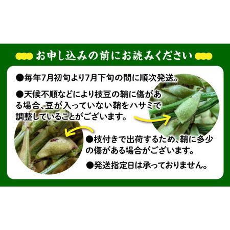 ふるさと納税 【期間限定！】黒大豆枝豆【幸】1.2kg (400g×3袋) 糸島市 / 染井野菜園[AZM001] 枝豆 夏野菜 産地直送 福岡県糸島市｜furunavi｜05