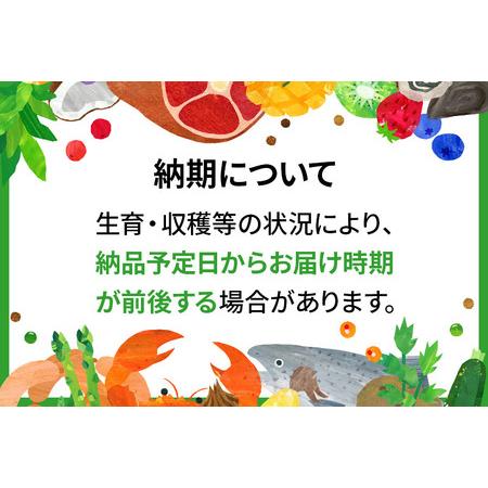 ふるさと納税 【玄米】＜令和6年産 新米予約＞ 秋田県産 あきたこまち 20kg (5kg×4袋) 20キロ お米【2024年秋 収穫後に順次発送開始】 秋田県仙北市｜furunavi｜02