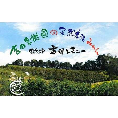 ふるさと納税 訳あり 不知火 でこ姫 約5kg（約18〜25玉）吉田レモニー 柑橘 フルーツ 果物 熊本県宇城市｜furunavi｜05