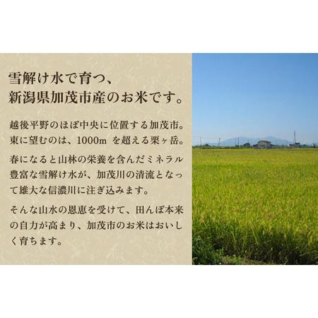 ふるさと納税 【定期便5ヶ月毎月お届け】新潟県加茂市産コシヒカリ 精米3kg 白米 加茂有機米生産組合 定期便 定期購入 定期 コシヒカリ 新潟県産.. 新潟県加茂市｜furunavi｜02