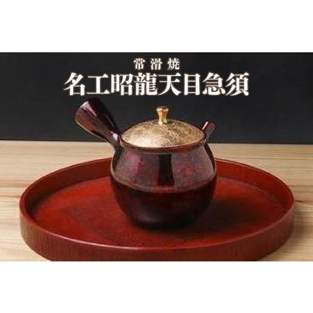 ふるさと納税 [常滑焼]名工昭龍天目急須 陶器 やきもの セラメッシュ 名工作品 伝統工芸 工芸品 六古窯 急須 ポット ティーポット 日本茶 お茶.. 愛知県常滑市