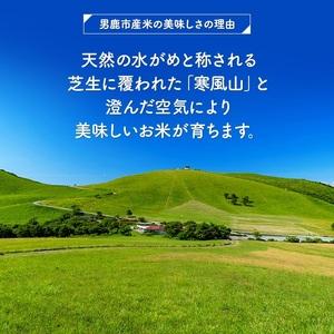 ふるさと納税 【あきたこまち】なまはげライス5kg×3 秋田県男鹿市｜furunavi｜05