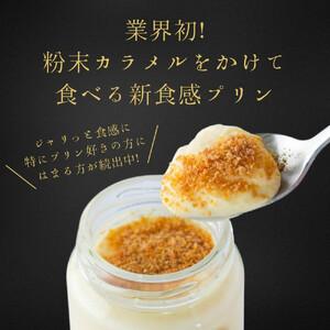ふるさと納税 究極のカラメルプリン【砂プリン】12個セット 鳥取県鳥取市_1