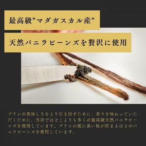 ふるさと納税 究極のカラメルプリン【砂プリン】12個セット 鳥取県鳥取市_3