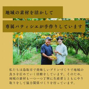 ふるさと納税 究極のカラメルプリン【砂プリン】12個セット 鳥取県鳥取市_4