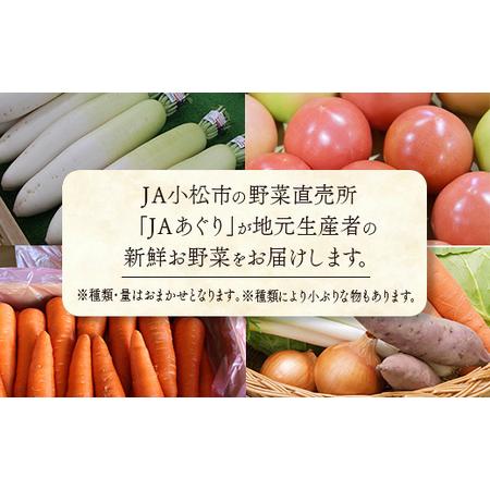 ふるさと納税 野菜詰め合わせ 季節の野菜 JA小松市  石川県小松市の画像