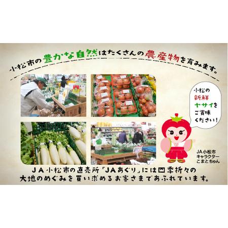 ふるさと納税 野菜詰め合わせ 季節の野菜 JA小松市  石川県小松市の画像