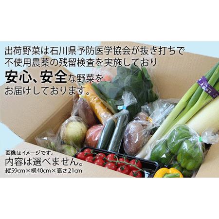 ふるさと納税 野菜詰め合わせ 季節の野菜 JA小松市  石川県小松市の画像