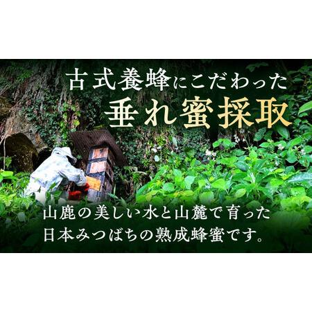 ふるさと納税 日本みつばち菊鹿約600g【山麓はっち】 [ZBM011] 熊本県山鹿市の画像