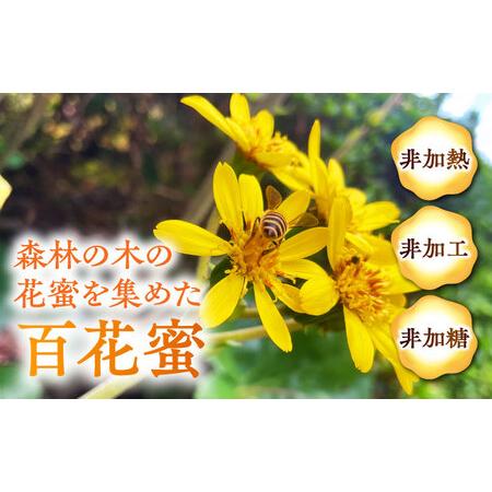 ふるさと納税 日本みつばち菊鹿約600g【山麓はっち】 [ZBM011] 熊本県山鹿市の画像