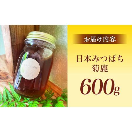 ふるさと納税 日本みつばち菊鹿約600g【山麓はっち】 [ZBM011] 熊本県山鹿市の画像
