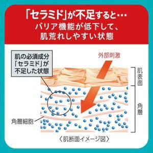 ふるさと納税 花王 Curel キュレル　潤浸保湿　乳液 3個セット ｜ 化粧品 化粧水 コスメ 敏感肌 神奈川県小田原市_3