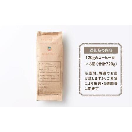 ふるさと納税 【定期便 全6回】【豆】屋久島の水で研いだ（焙煎機を使用した）コーヒー（1回分120g） 鹿児島県屋久島町