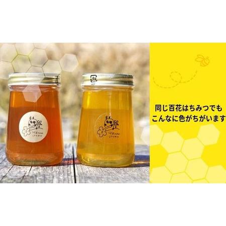 ふるさと納税 河本さんちの はちみつ 2種類の百花蜂蜜 500g×2本｜はちみつ 岐阜県大垣市の画像