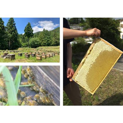 ふるさと納税 河本さんちの はちみつ 2種類の百花蜂蜜 500g×2本｜はちみつ 岐阜県大垣市の画像