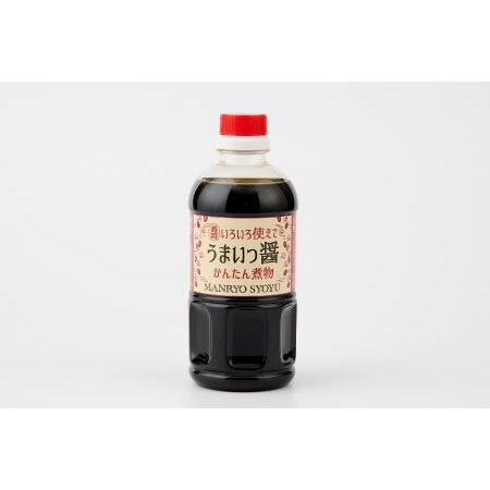 ふるさと納税 九州醤油万両煮物醤油(いろいろ使えてうまいっ醤入り)(H-1) (H016167) 佐賀県神埼市の画像
