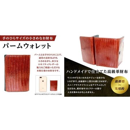 ふるさと納税 パームウォレット【テジュー（トカゲ革）】(全3色)(カラー：ブラウン)_0138-009-T05-3 東京都台東区の画像