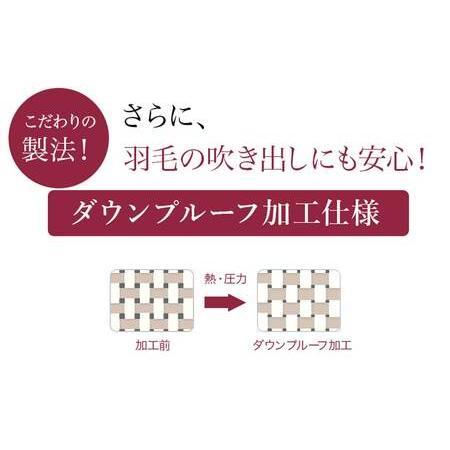 ふるさと納税 洗える4つ星ダウンケット〈ピンク&ブルー2枚セット〉 ホワイトダウン90％エクセルゴールドラベル_AH-J204_(都城市) 羽毛掛布団.. 宮崎県都城市_3