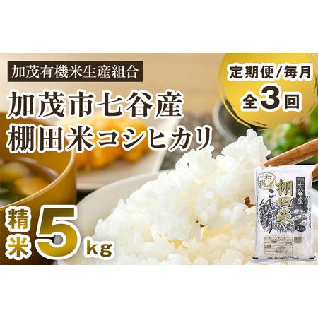 ふるさと納税 [定期便3回毎月お届け]新潟県加茂市 七谷産 棚田米コシヒカリ 精米5kg 白米 加茂有機米生産組合 定期便 定期購入 定期 コシヒカ.. 新潟県加茂市