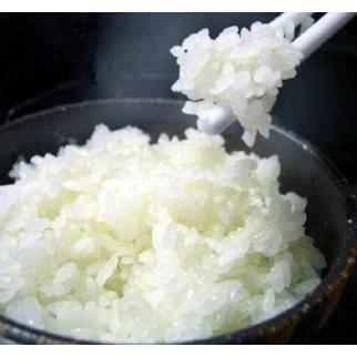 ふるさと納税 米 定期便 朱鷺と暮らす郷 佐渡産コシヒカリ ( 5kg × 全3回 ) 【令和7年産】 新潟県佐渡市の画像