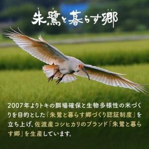 ふるさと納税 米 定期便 朱鷺と暮らす郷 佐渡産コシヒカリ ( 5kg × 全3回 ) 【令和7年産】 新潟県佐渡市の画像