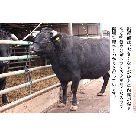 ふるさと納税 黒田庄和牛＆播州百日どり　鍋セット（大）【冷凍】 兵庫県_3