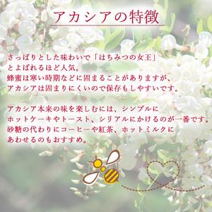 ふるさと納税 【 国産純粋はちみつ 】 アカシア 蜂蜜 非加熱 520g × 2本 ／ あかしあ アカシヤ はちみつ ハチミツ ハチ蜜 ハニー 国産 国.. 岩手県八幡平市の画像