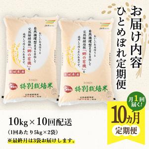 ふるさと納税 【10ヶ月定期便】ひとめぼれ100kg＋5kg ta229【JA新みやぎ】 宮城県大和町 ふるさと納税 無洗米【頒布会10kg×6回】雪室貯蔵・南魚沼産コシヒカリ 新潟県南魚沼市