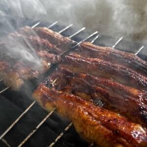 ふるさと納税 天然うなぎ専門うなぎ村のお試しチケット　1名様【1421562】 茨城県かすみがうら市 その他クーポン券 CEG1244523904(12350円)