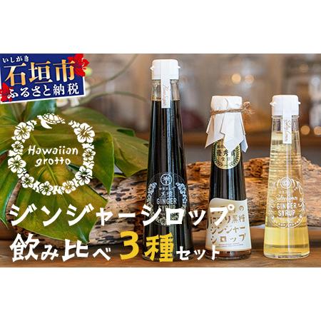 ふるさと納税 ジンジャーシロップ飲み?べ3種セット(200ML×1本、120ML×2本) HW-5 [沖縄県石垣市 沖縄 沖縄県 琉球 八重山 八重山諸島.. 沖縄県石垣市