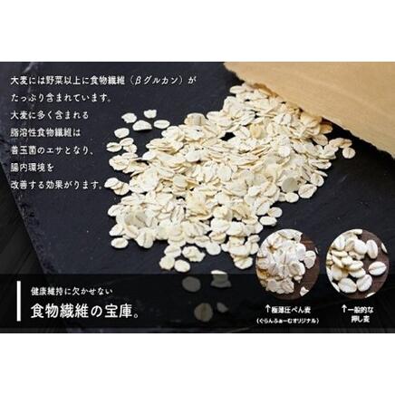 ふるさと納税 【定期便6ヶ月】 【小麦粉不使用】Lサイズ 人気の3個セット |グラノーラ 長野県千曲市の画像