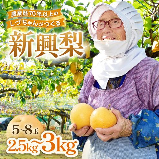 ふるさと納税 [先行予約]しづちゃんが作る 新興梨 5〜8玉入(2.5〜3kg)農業歴70年以上! なし 果物 旬 フルーツ 甘い ジューシー 果汁 くだ.. 福井県あわら市