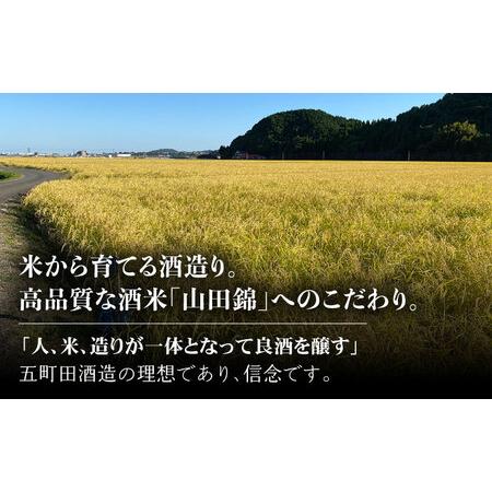 ふるさと納税 6回定期便 日本酒 東一 純米吟醸酒 NBQ108 日本酒定期便 佐賀県嬉野市の画像