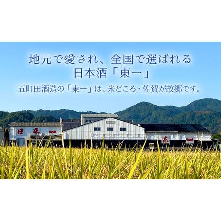 ふるさと納税 6回定期便 日本酒 東一 純米吟醸酒 NBQ108 日本酒定期便 佐賀県嬉野市の画像