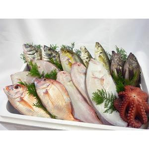 ふるさと納税 ［頒布会3回］瀬戸内海産の海産物の詰め合わせ（下処理アリ） FAH-0123 香川県宇多津町の画像